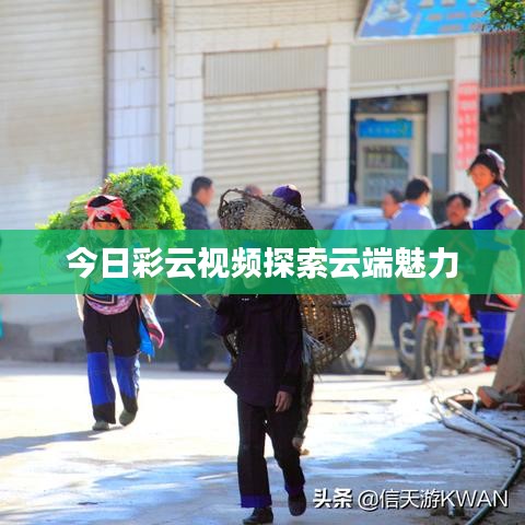 今日彩云视频探索云端魅力