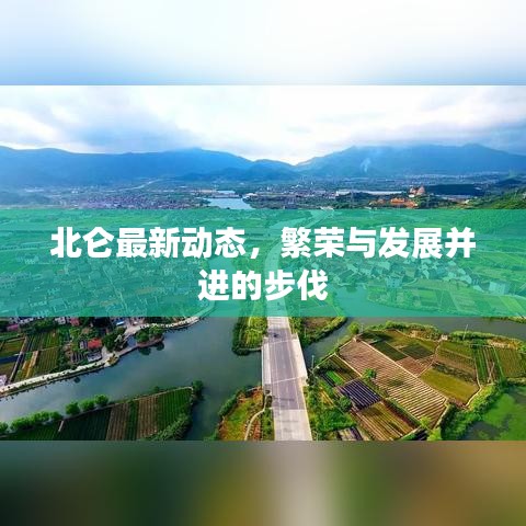 北仑最新动态，繁荣与发展并进的步伐