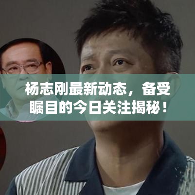 杨志刚最新动态，备受瞩目的今日关注揭秘！