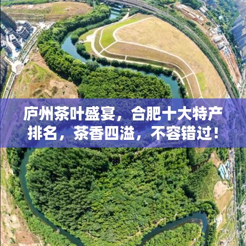 庐州茶叶盛宴，合肥十大特产排名，茶香四溢，不容错过！