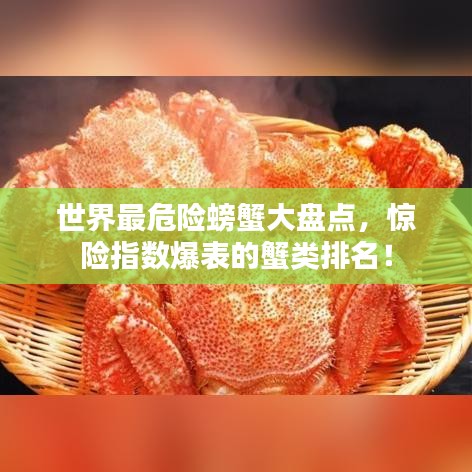 2025年5月14日 第19页