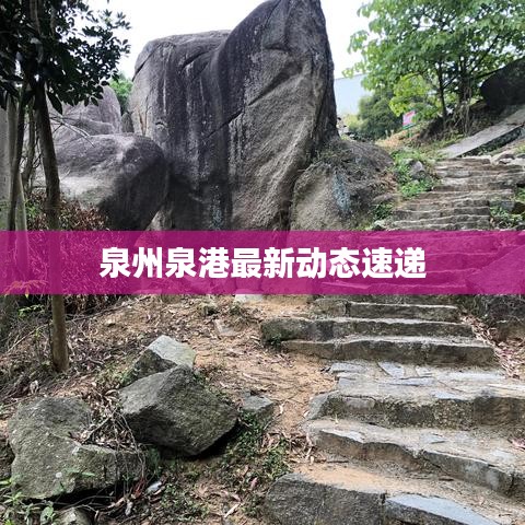 泉州泉港最新动态速递