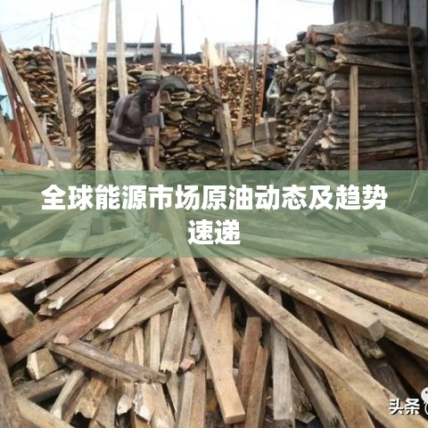 全球能源市场原油动态及趋势速递