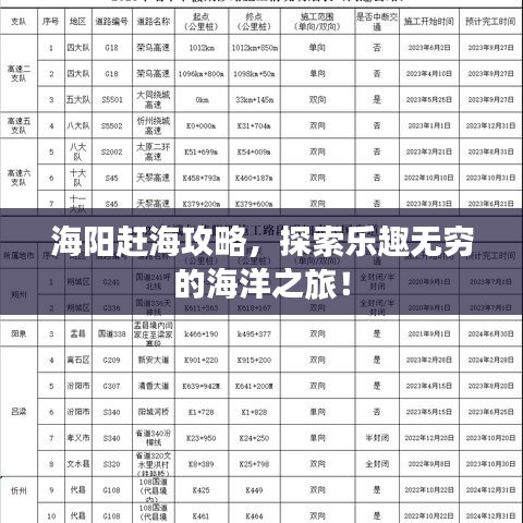 海阳赶海攻略，探索乐趣无穷的海洋之旅！