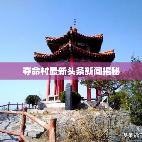 夺命村最新头条新闻揭秘