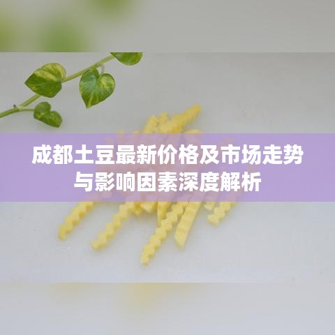 成都土豆最新价格及市场走势与影响因素深度解析