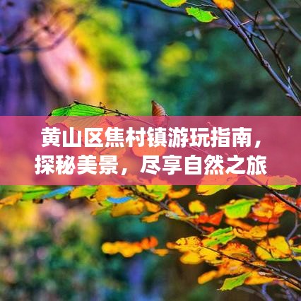 黄山区焦村镇游玩指南，探秘美景，尽享自然之旅！