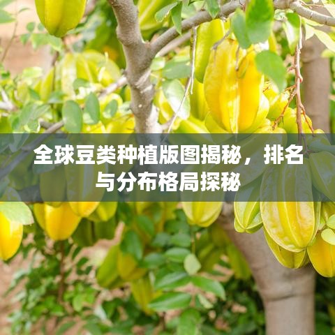 2025年5月15日 第45页