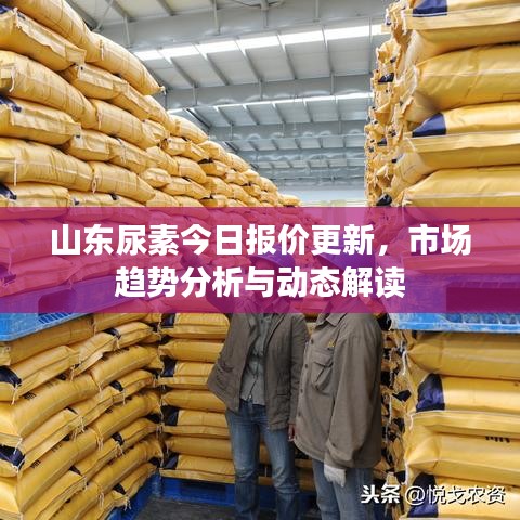 山东尿素今日报价更新，市场趋势分析与动态解读