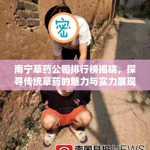 南宁草药公司排行榜揭晓，探寻传统草药的魅力与实力展现