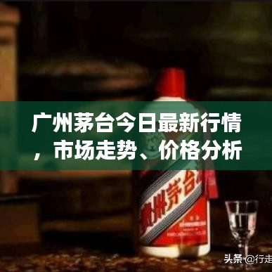 广州茅台今日最新行情，市场走势、价格分析及购买指南
