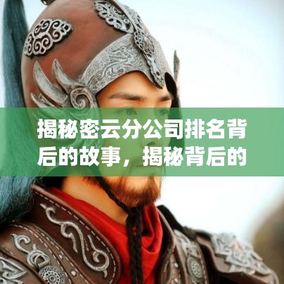 揭秘密云分公司排名背后的故事，揭秘背后的真相与成功秘诀