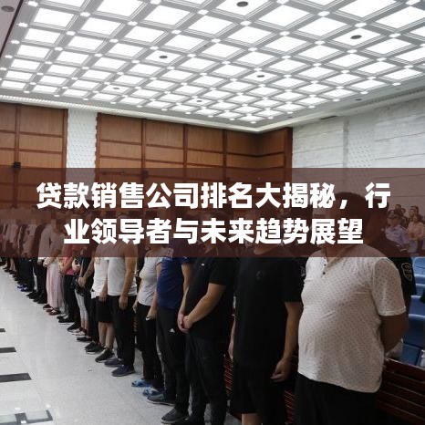 贷款销售公司排名大揭秘，行业领导者与未来趋势展望