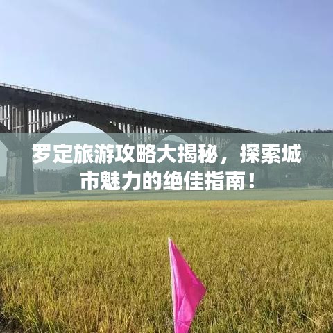 罗定旅游攻略大揭秘，探索城市魅力的绝佳指南！