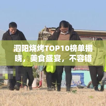 泗阳烧烤TOP10榜单揭晓，美食盛宴，不容错过！