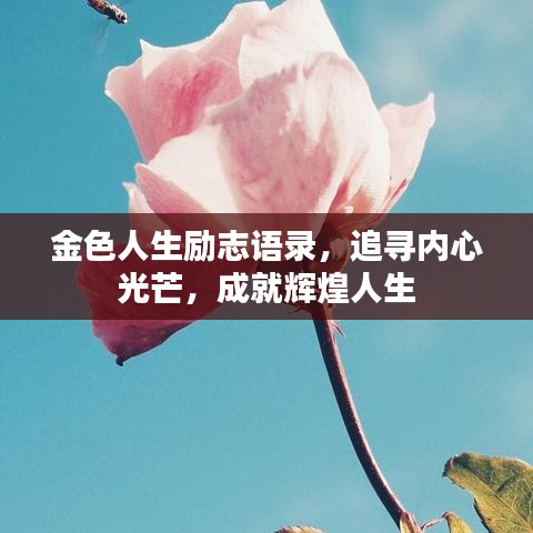 金色人生励志语录，追寻内心光芒，成就辉煌人生