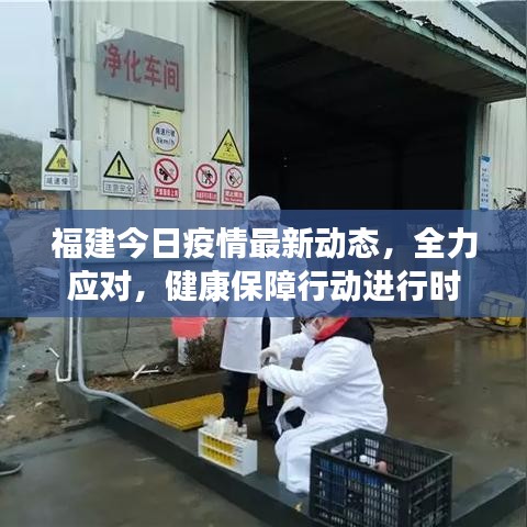 福建今日疫情最新动态，全力应对，健康保障行动进行时