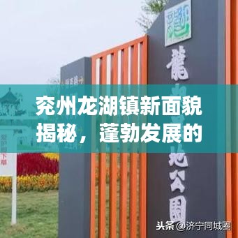 兖州龙湖镇新面貌揭秘，蓬勃发展的城镇新闻头条