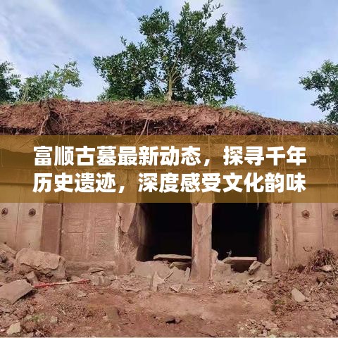 富顺古墓最新动态，探寻千年历史遗迹，深度感受文化韵味
