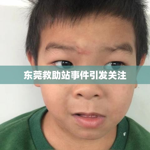 东莞救助站事件引发关注