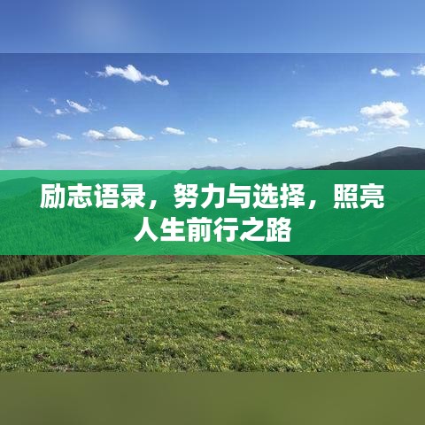 励志语录，努力与选择，照亮人生前行之路