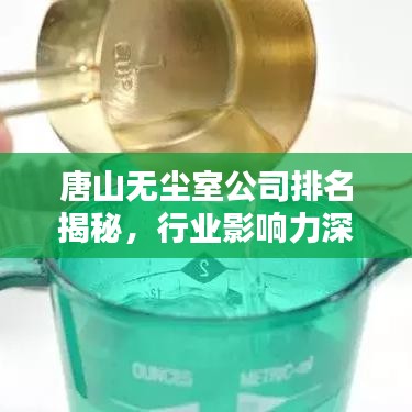 唐山无尘室公司排名揭秘，行业影响力深度探讨