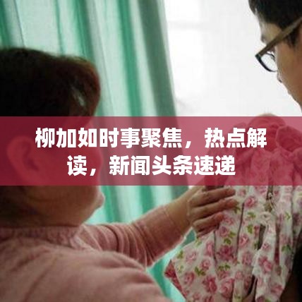柳加如时事聚焦，热点解读，新闻头条速递