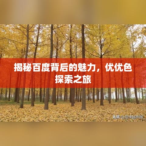 揭秘百度背后的魅力，优优色探索之旅