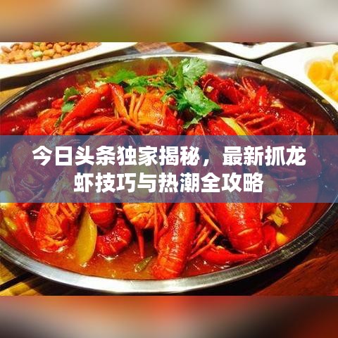今日头条独家揭秘，最新抓龙虾技巧与热潮全攻略