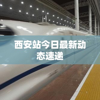 西安站今日最新动态速递