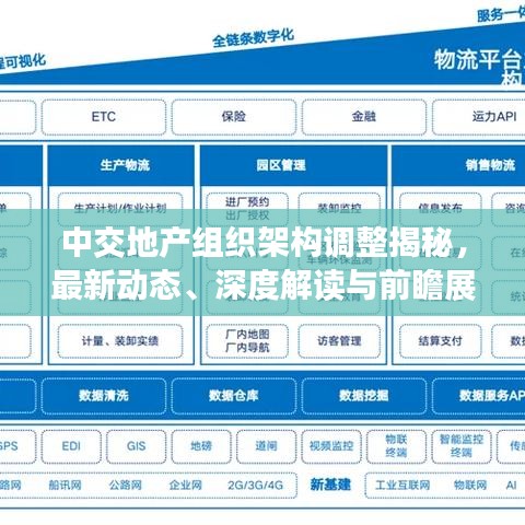 中交地产组织架构调整揭秘，最新动态、深度解读与前瞻展望