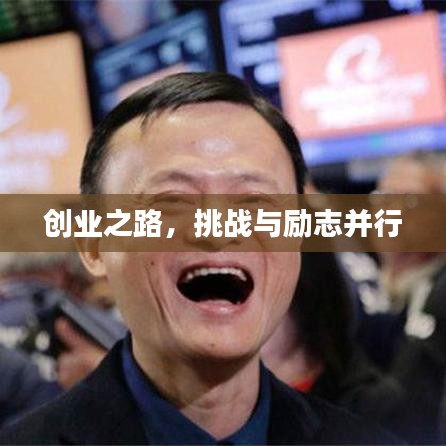 创业之路，挑战与励志并行