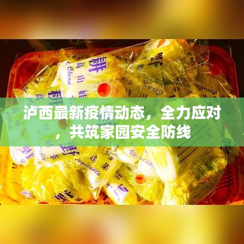 泸西最新疫情动态，全力应对，共筑家园安全防线