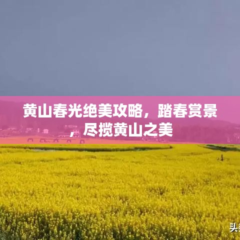 黄山春光绝美攻略，踏春赏景，尽揽黄山之美