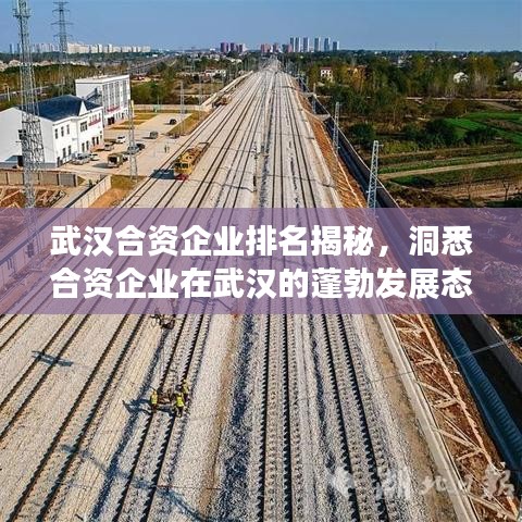 武汉合资企业排名揭秘，洞悉合资企业在武汉的蓬勃发展态势