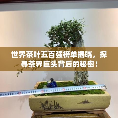 世界茶叶五百强榜单揭晓，探寻茶界巨头背后的秘密！