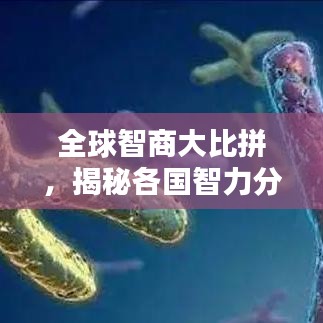 全球智商大比拼，揭秘各国智力分布与影响因素的奥秘