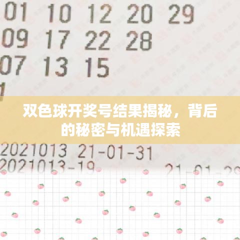 双色球开奖号结果揭秘，背后的秘密与机遇探索