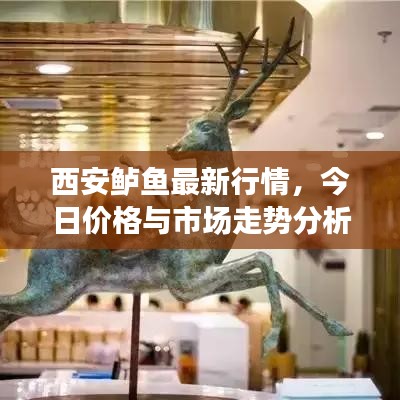 西安鲈鱼最新行情，今日价格与市场走势分析