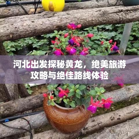 河北出发探秘黄龙，绝美旅游攻略与绝佳路线体验