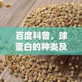 百度科普，球蛋白的种类及其特性详解