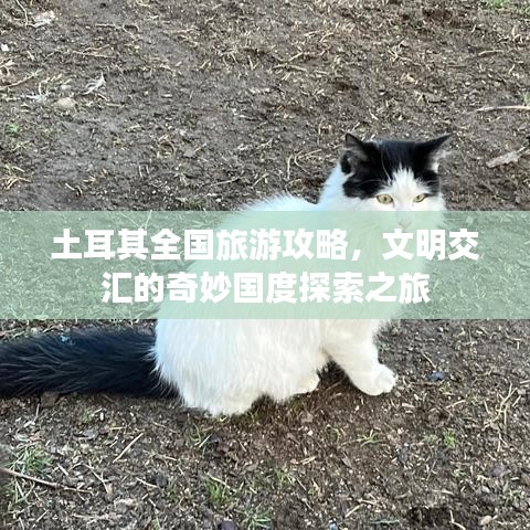 土耳其全国旅游攻略，文明交汇的奇妙国度探索之旅