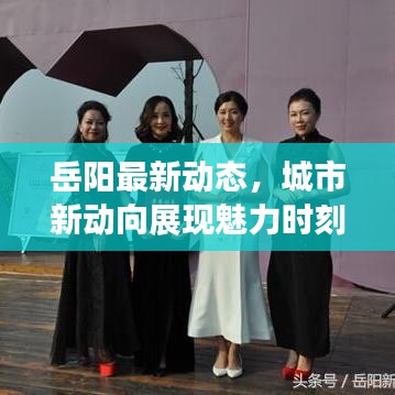 岳阳最新动态，城市新动向展现魅力时刻