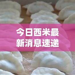 今日西米最新消息速递