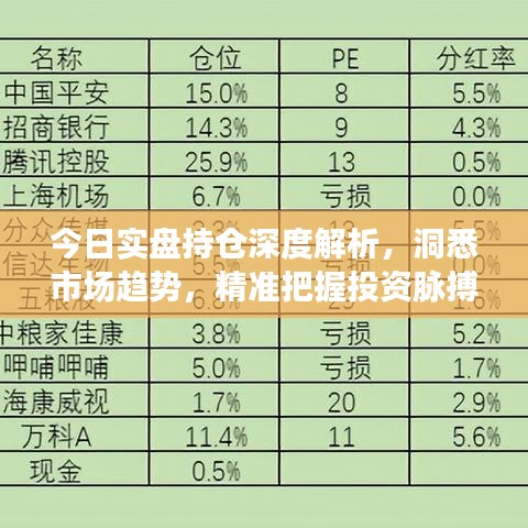 今日实盘持仓深度解析，洞悉市场趋势，精准把握投资脉搏