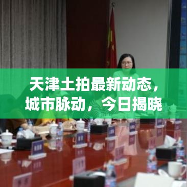 天津土拍最新动态，城市脉动，今日揭晓！