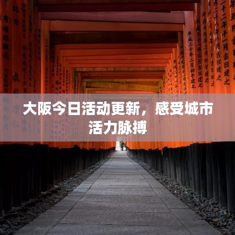 大阪今日活动更新，感受城市活力脉搏