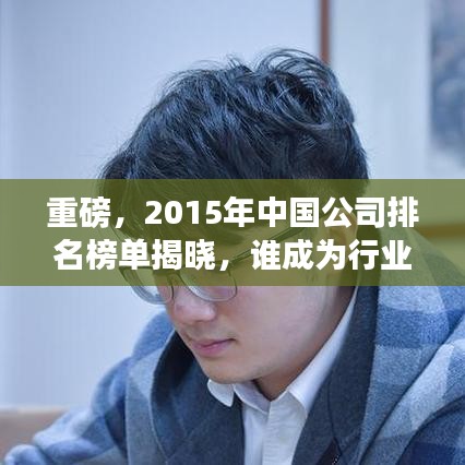 重磅，2015年中国公司排名榜单揭晓，谁成为行业翘楚？