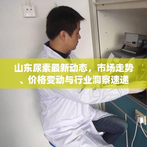 山东尿素最新动态，市场走势、价格变动与行业洞察速递