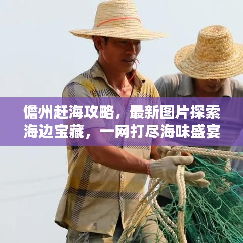 儋州赶海攻略，最新图片探索海边宝藏，一网打尽海味盛宴！